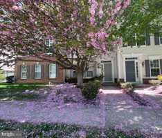 featured image of 1932 Cavalier Ln