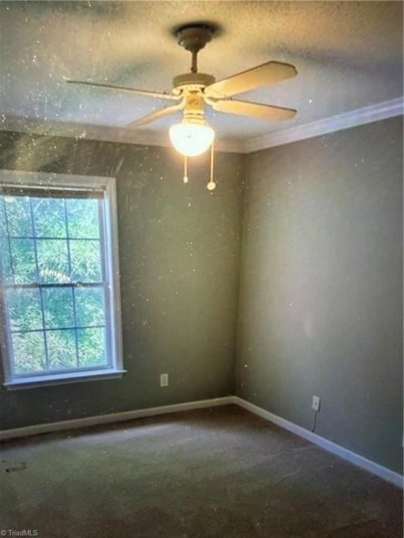 3709 Morris Farm Dr - Photo 2 of 11