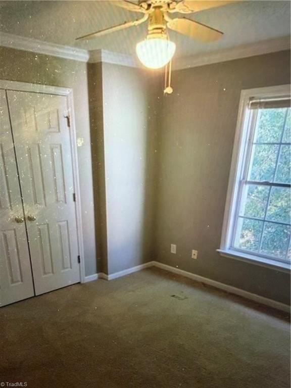 3709 Morris Farm Dr - Photo 4 of 11