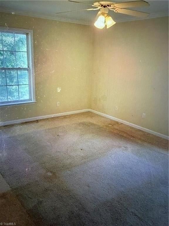 3709 Morris Farm Dr - Photo 5 of 11