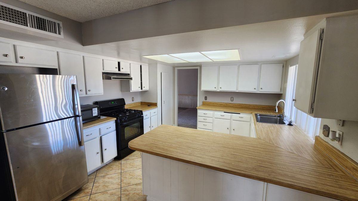 389 Summer Creek Ct - Photo 3 of 12