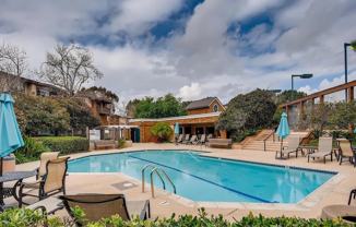 8840 Villa La Jolla Dr #304 - Photo 1 of 1