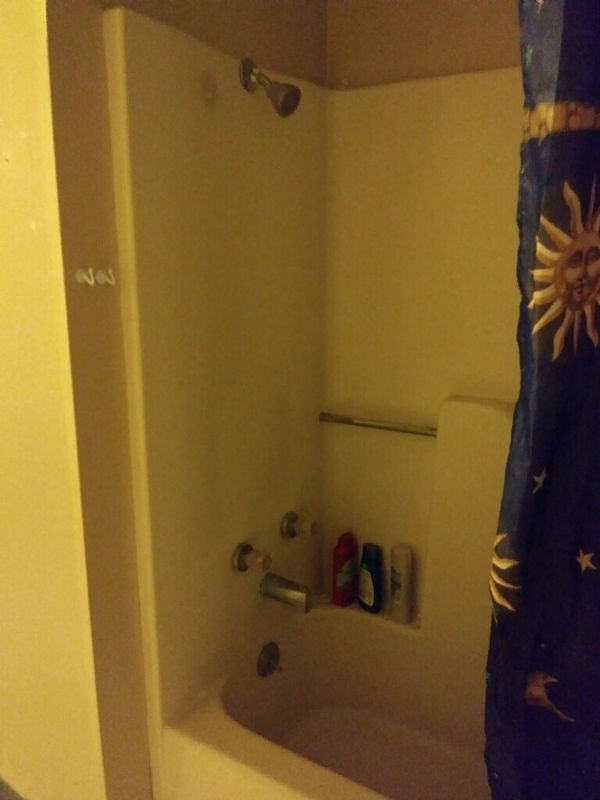 1362 Pitkin Rd #1 - Photo 5 of 13