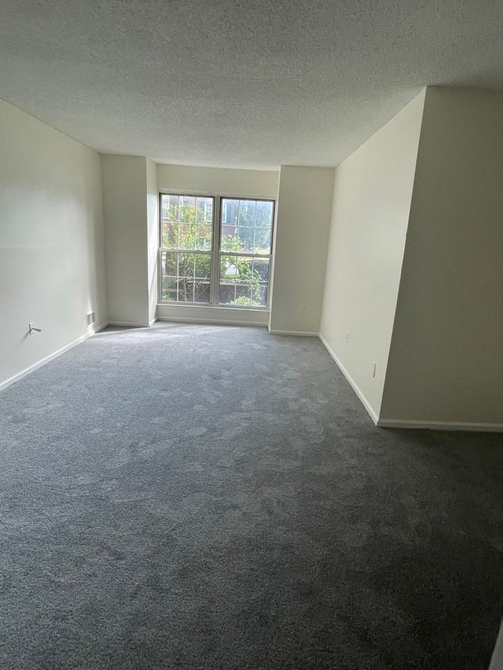 59 S Orange Ave - Photo 7 of 12