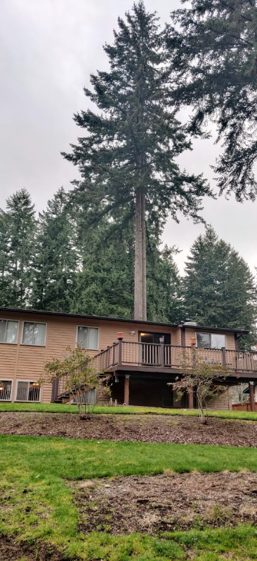 4513 60th Ave W - Photo 4 of 9
