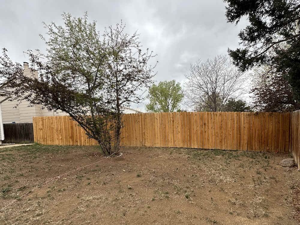 1261 S Argonne Cir #NA - Photo 5 of 11