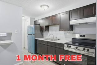 1341 N Ogden St #202 - Photo 1 of 1