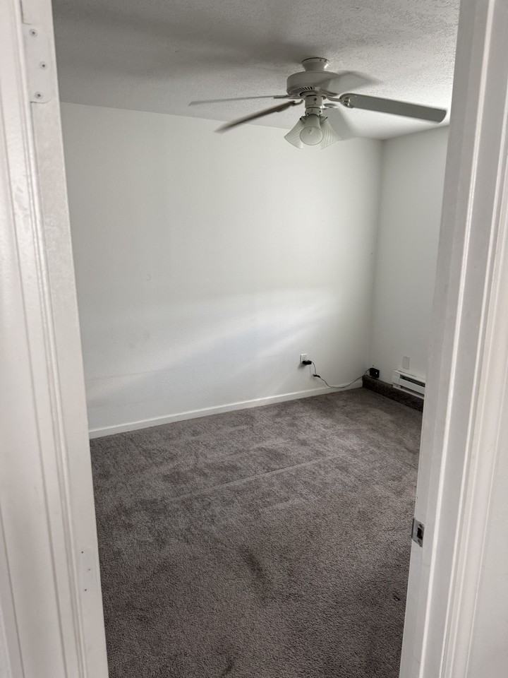 920 W Chestnut St #2 - Photo 5 of 12