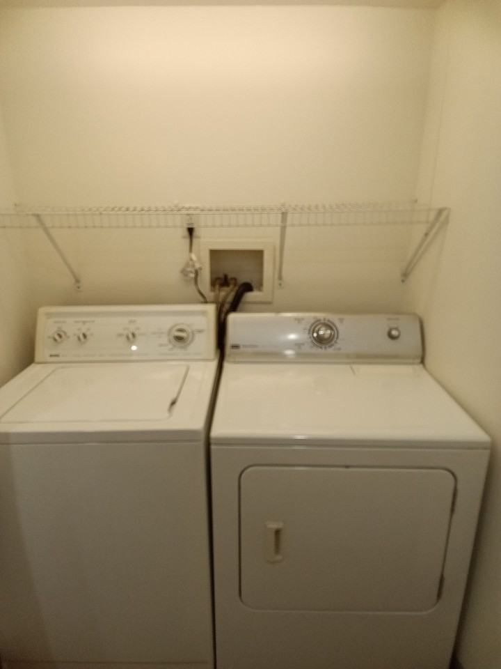 6902 Ruskin Ln #B - Photo 7 of 8
