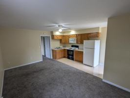 featured image of 205 S West St #C