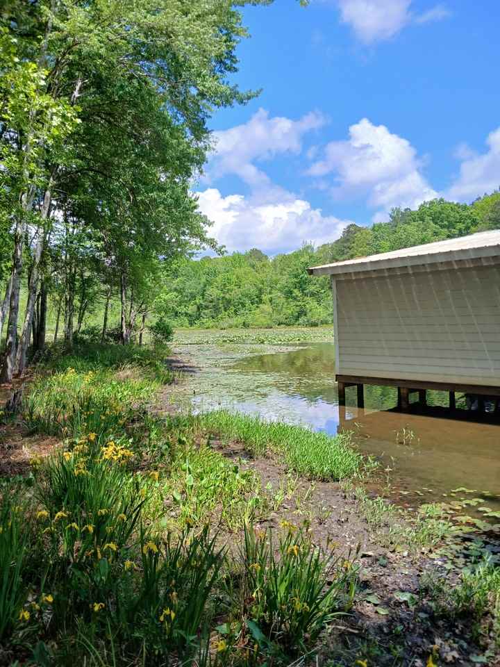 3317 Birdsong Rd #NA - Photo 6 of 45