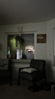 featured image of 2828 Famosa Blvd #303