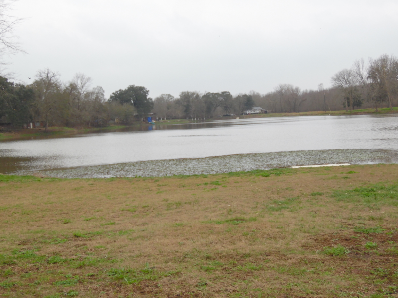 111 Spur - Photo 5 of 25