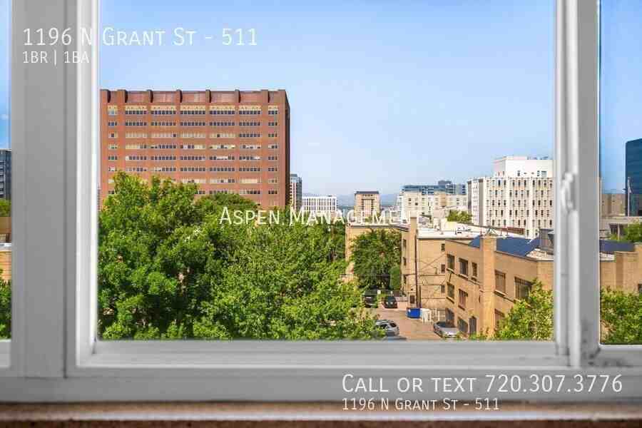 1196 N Grant St #511 - Photo 6 of 13