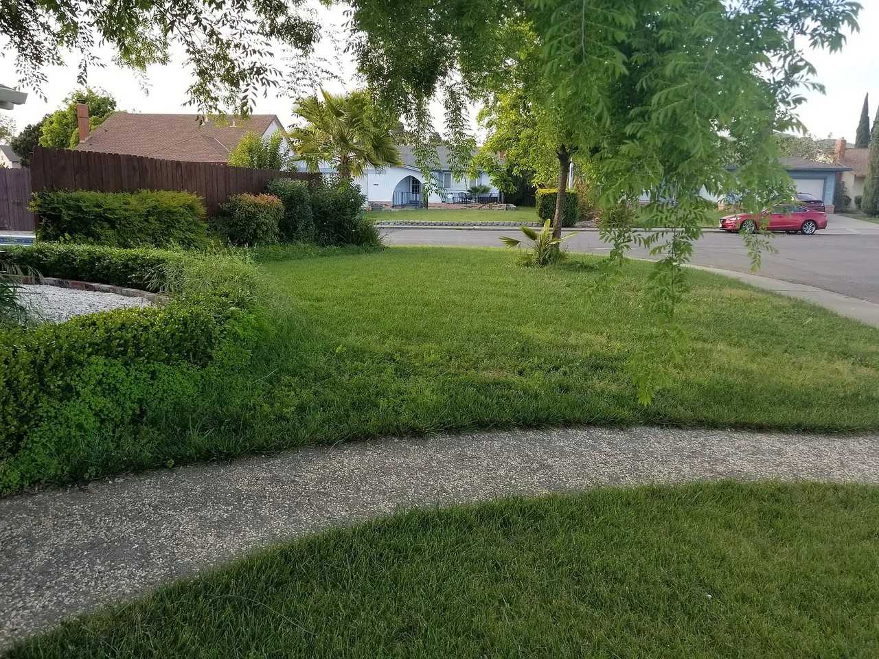 2293 Emerson Pl - Photo 3 of 13