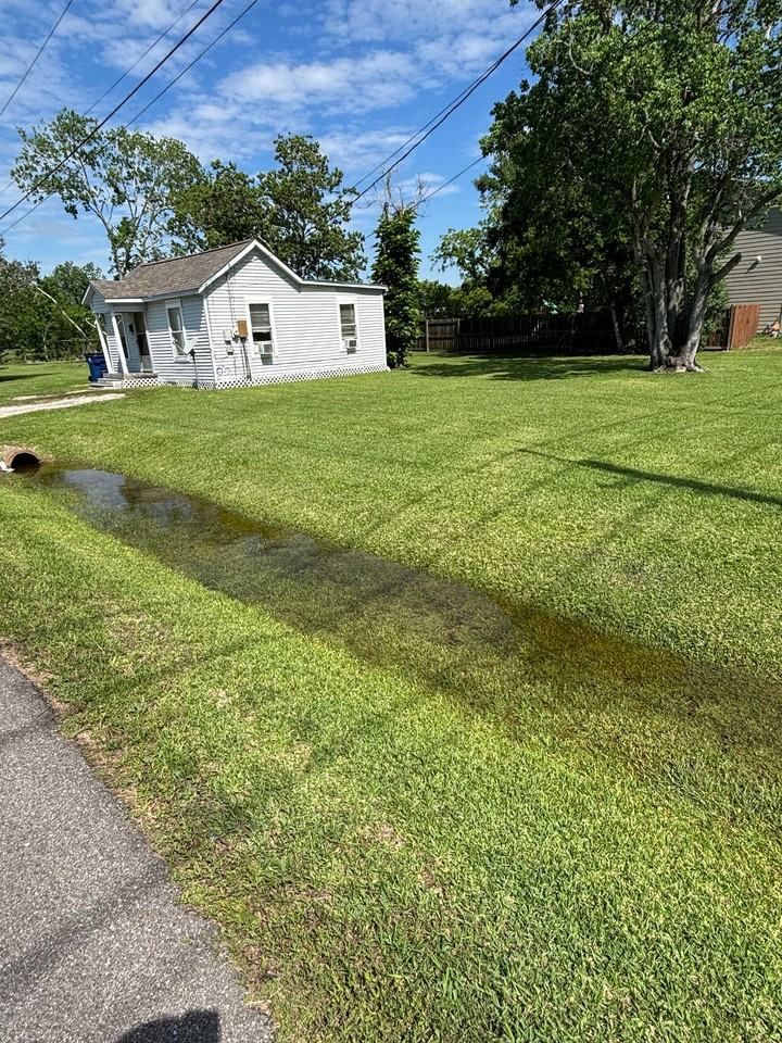 608 W Cedar St - Photo 4 of 13