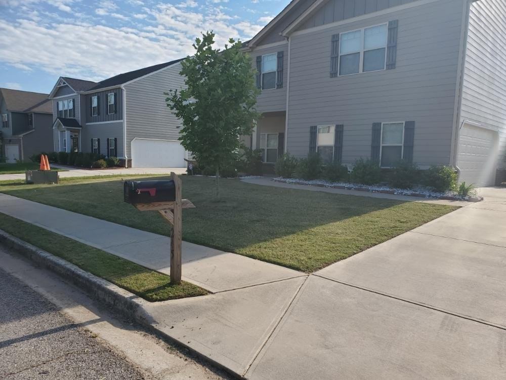 245 Silver Willow Walk - Photo 3 of 20