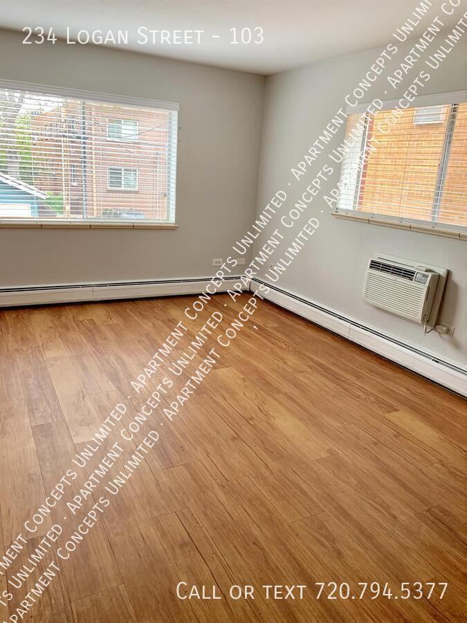234 N Logan St #103 - Photo 3 of 8