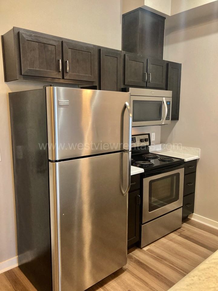 203 E Laurel St #403 - Photo 4 of 14