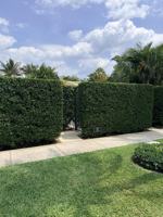 featured image of 225 Everglade Ave