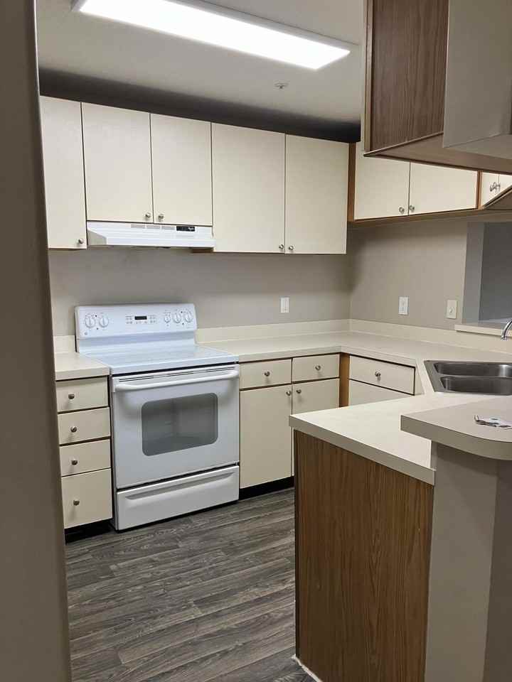 7667 N Wickham Rd #917 - Photo 5 of 18
