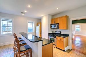 featured image of 225 Carpenter St ##3