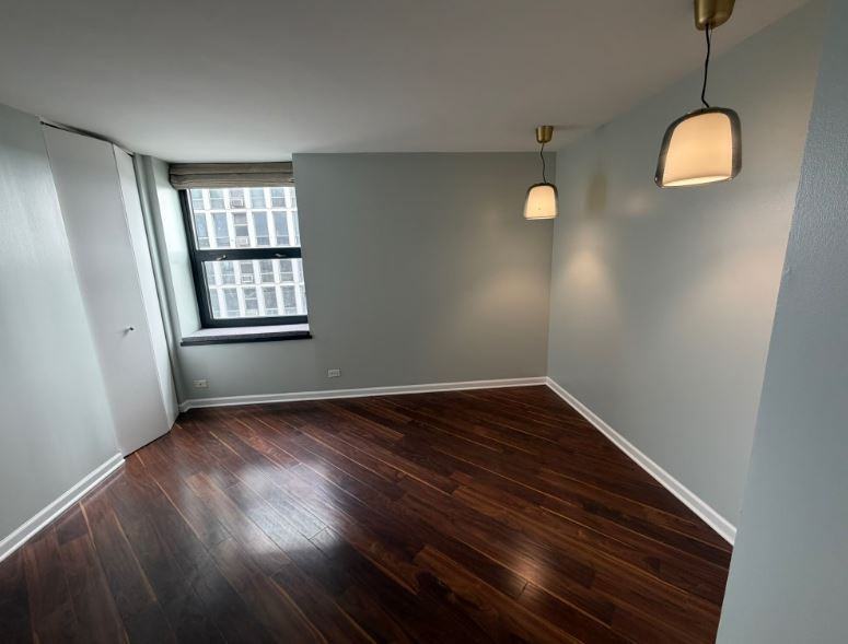 3660 North Lake Shore Drive - Photo 4 of 14