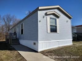 featured image of 98 Elm Tree #98