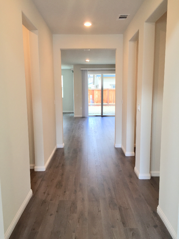 931 Island Palm Way - Photo 3 of 15