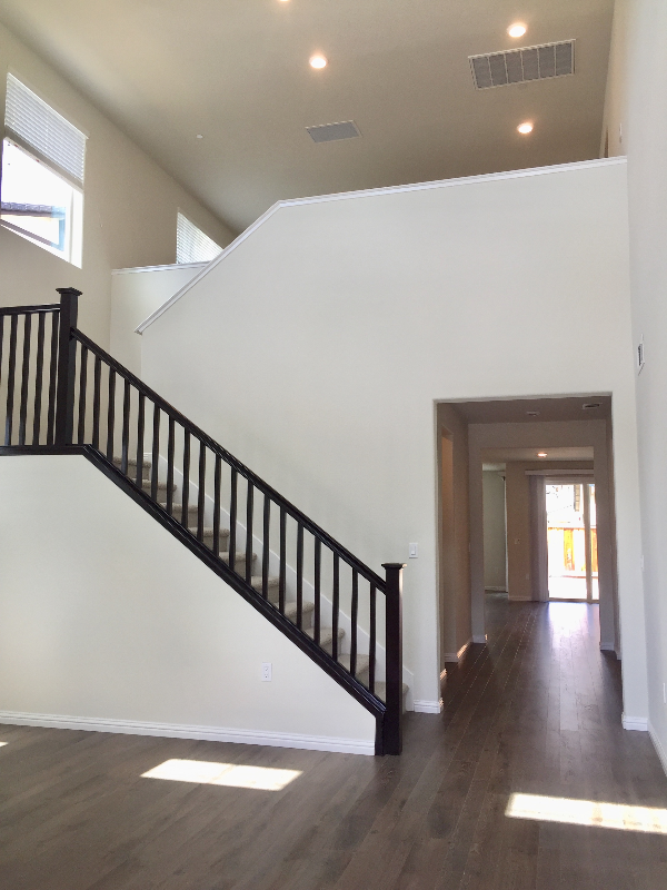 931 Island Palm Way - Photo 4 of 15