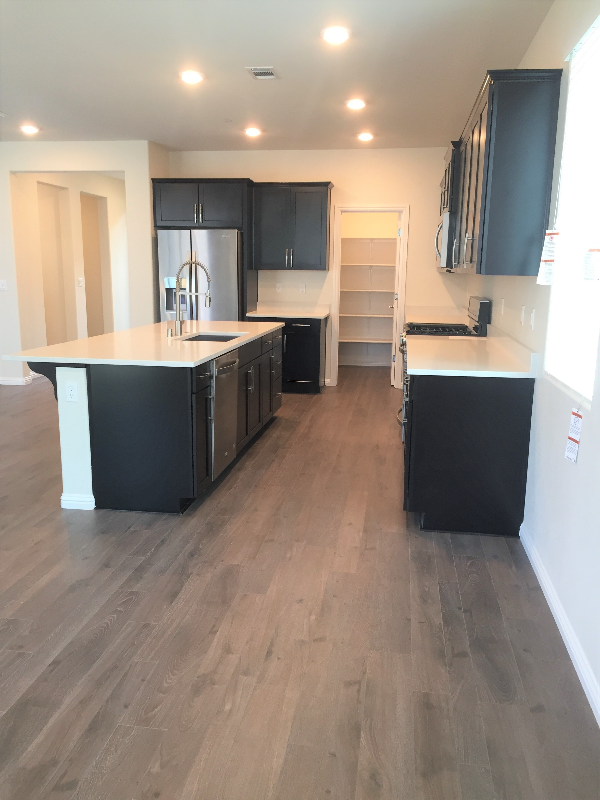 931 Island Palm Way - Photo 7 of 15