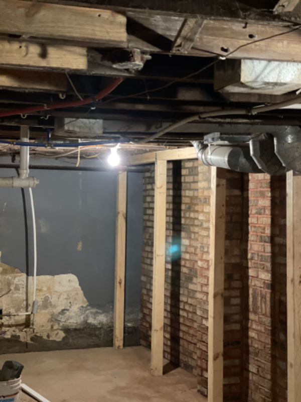 313 Brooklyn Ave - Photo 7 of 13