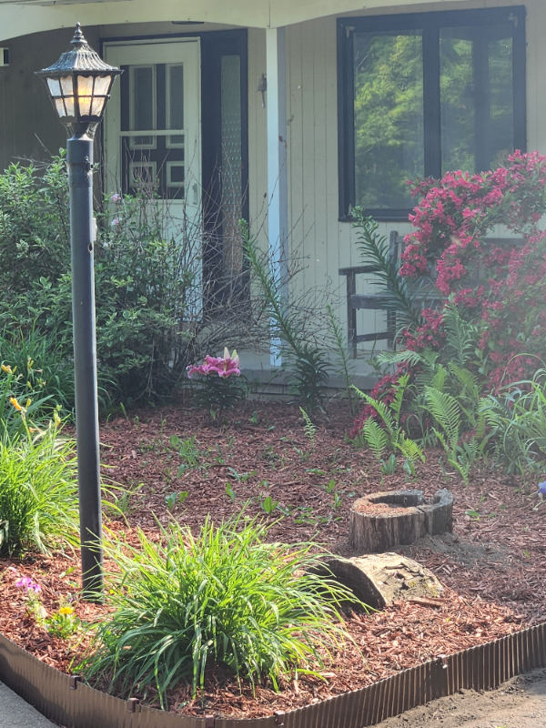 N6645 Fawn Cir - Photo 4 of 22