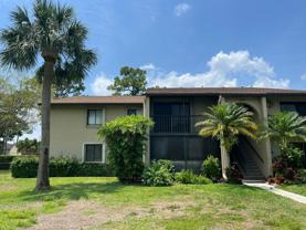 504 Shady Pine Way - Photo 1 of 1