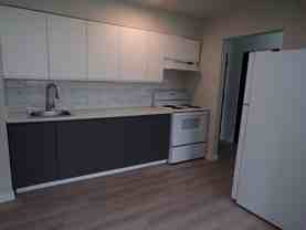1370 Tecumseh Rd W #201 - Photo 1 of 1