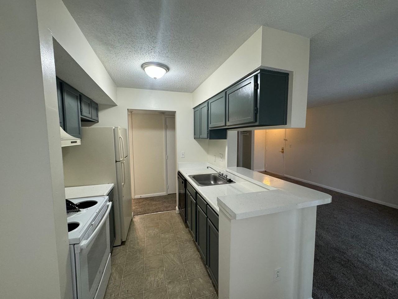 Inviting Apartments in a Central Location near Plaza Midwood with Renovated Units Available - Photo 7 of 50