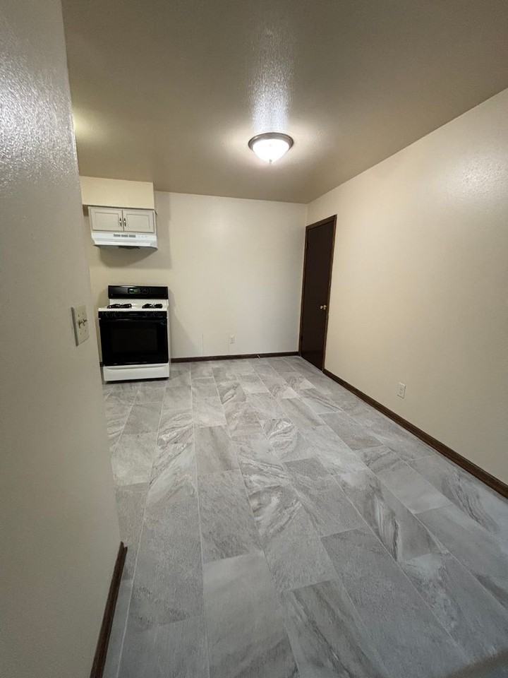 Spacious 1bedroom apartment - Photo 4 of 9