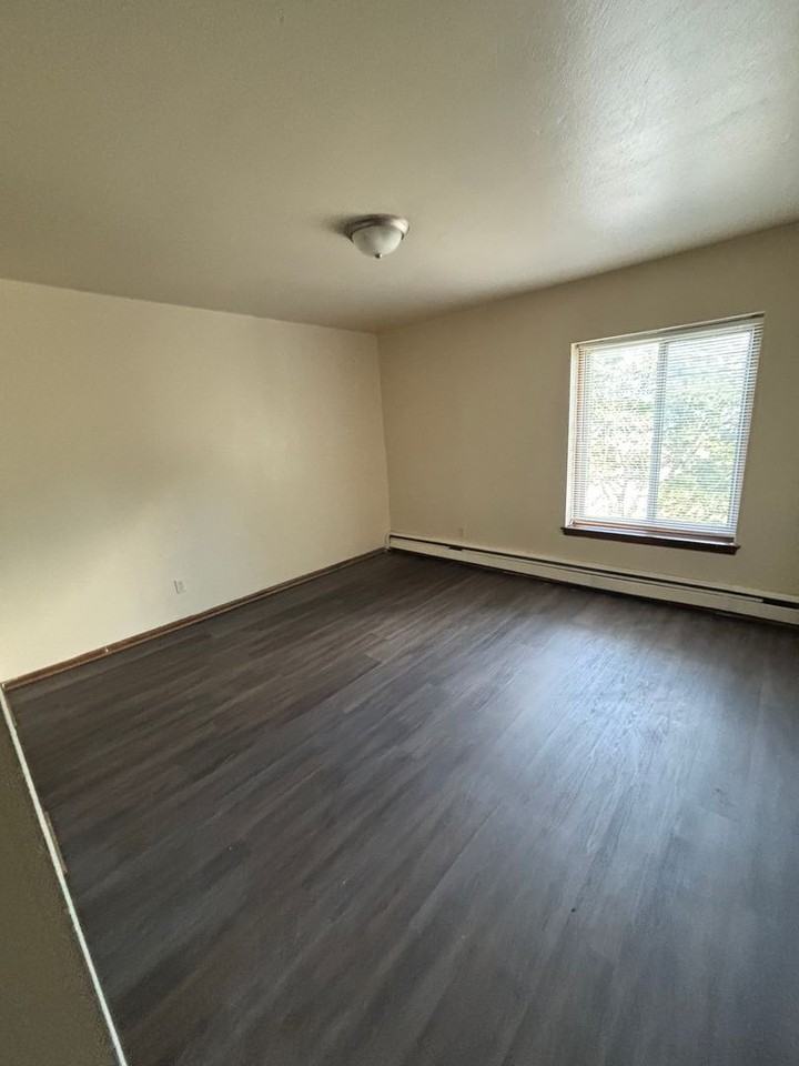 Spacious 1bedroom apartment - Photo 7 of 9