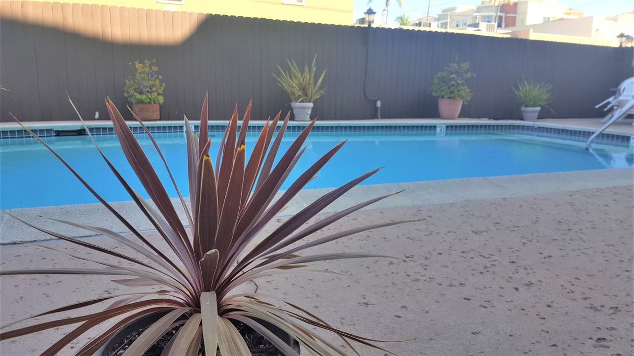 Villa Capri Apartments - Photo 4 of 4