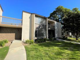 1128 Okapi Ln - Photo 1 of 1