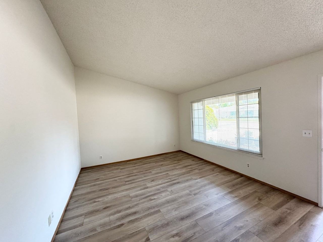 724 Saturn Way - Photo 5 of 16
