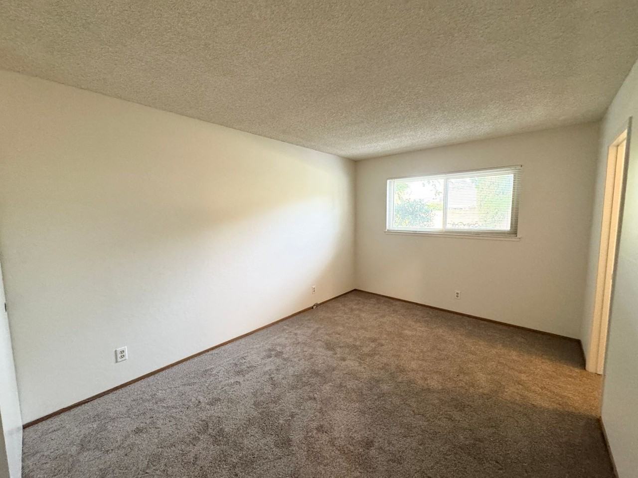 724 Saturn Way - Photo 6 of 16