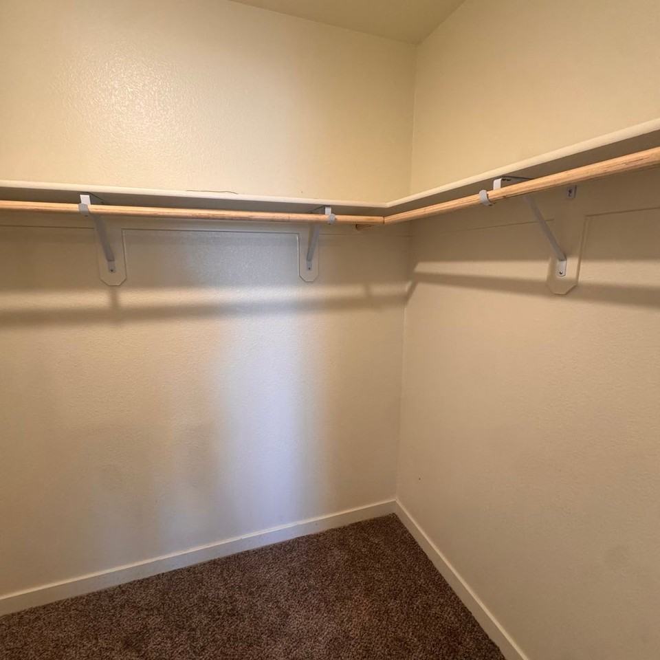 8791 Portia Dr - Photo 6 of 11