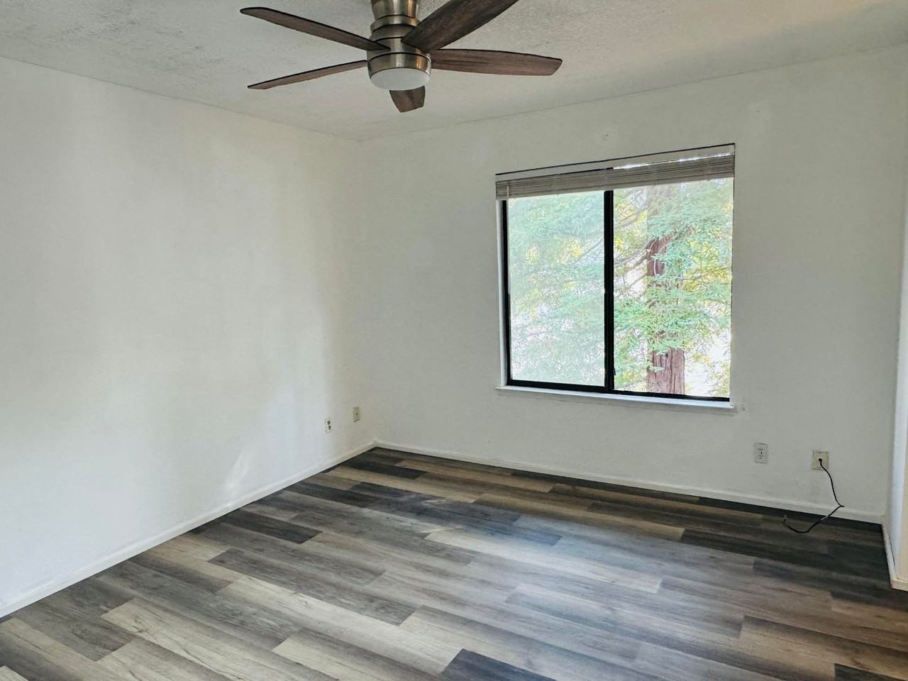 704 Windsor - Photo 4 of 9