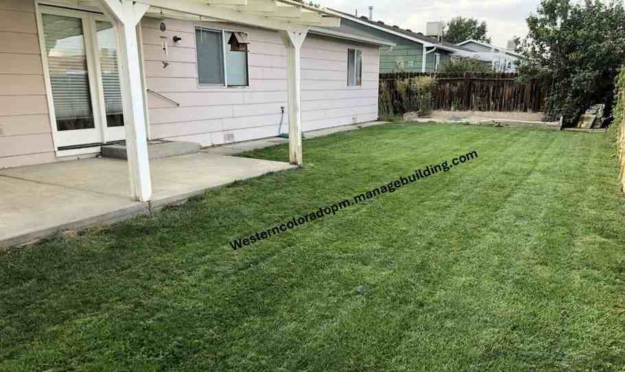 578 Sycamore St #1 - Photo 3 of 20