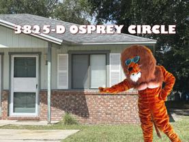 3825 Osprey Cir #D - Photo 1 of 1