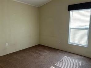 5739 County Road 308 - Photo 4 of 7