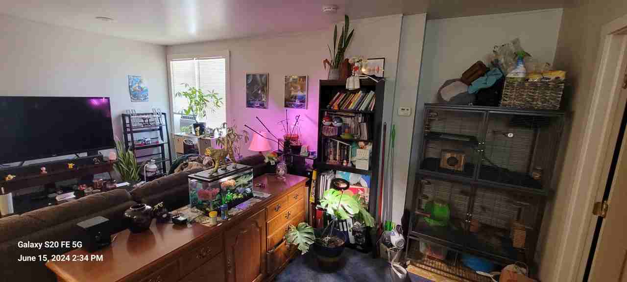 508 Melwood Ave #1 - Photo 2 of 11