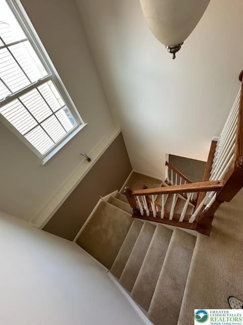 1132 Sparrow Way - Photo 7 of 19