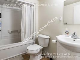 featured image of 392 Albert St #2